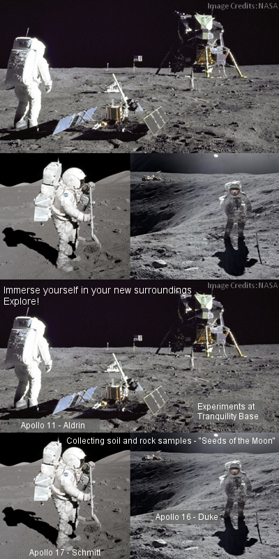 moonfolly3