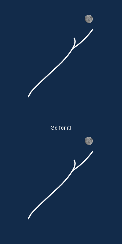 moonfolly3